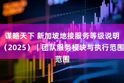 谋略天下 新加坡地接服务等级说明（2025）｜团队服务模块与执行范围