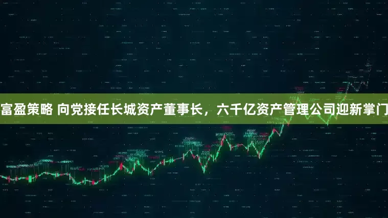 富盈策略 向党接任长城资产董事长，六千亿资产管理公司迎新掌门