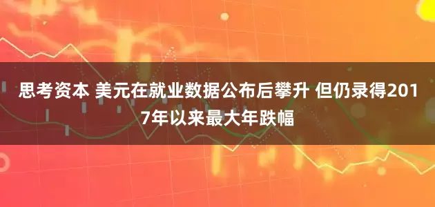 思考资本 美元在就业数据公布后攀升 但仍录得2017年以来最大年跌幅